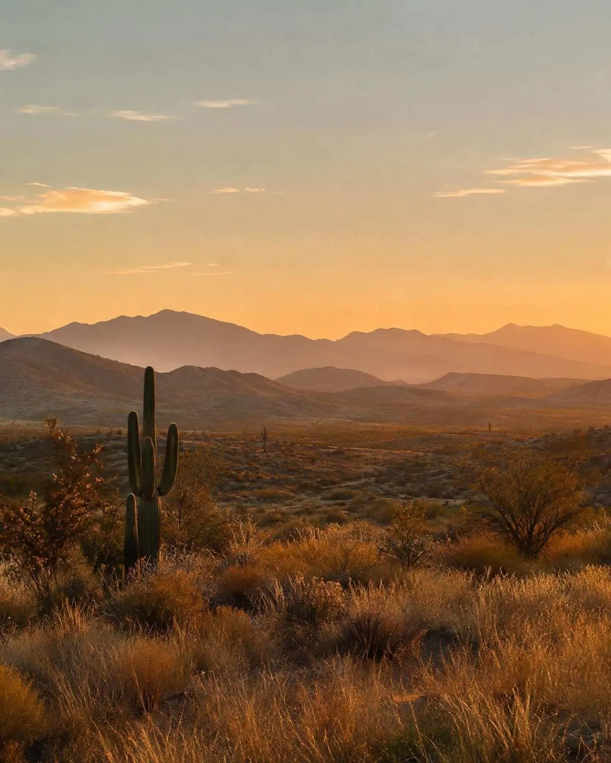 Desert landscape of Southern Arizona near Bisbee